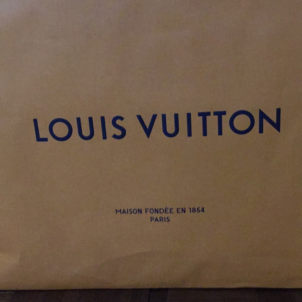 Louis Vuitton’s shopping bag. - Picture 2 of 2